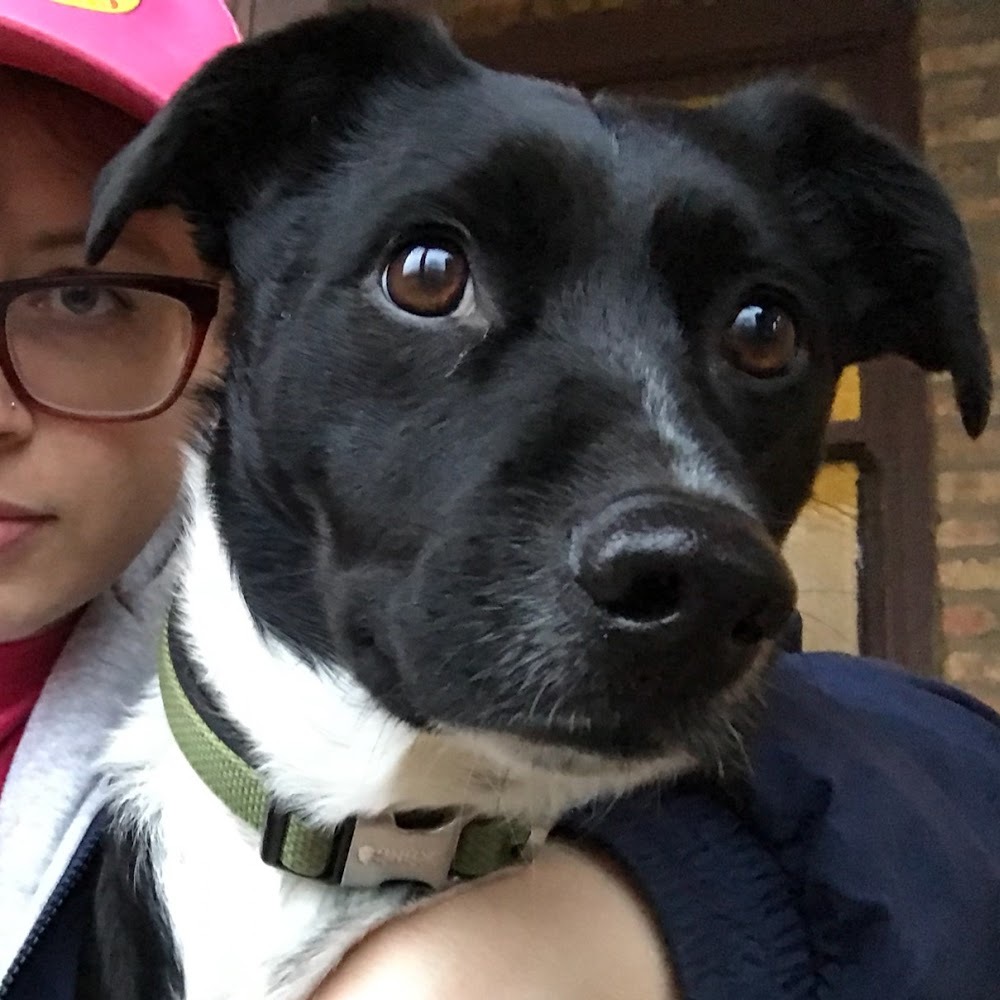 Meet your Posher, Rach